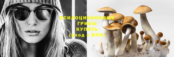 гидра Абинск