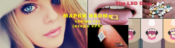 шишки Алексин
