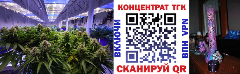 кракен как зайти  площадка клад  ТГК вейп  как найти закладки  Струнино 